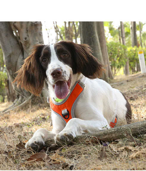 Breathable Mesh Vest Puppy Harnesses